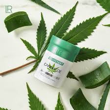 LR LIFETAKT Cannaloe Kapseln