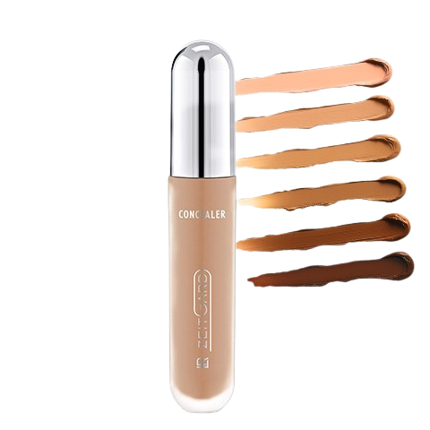 LR Signature Concealer